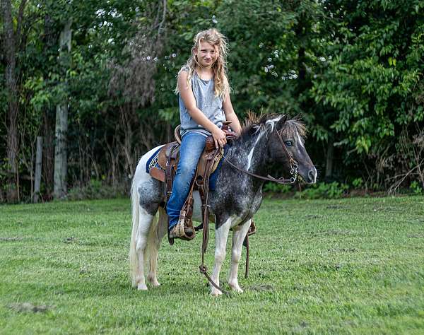 kid-safe-pony