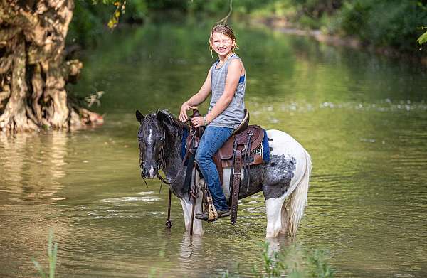 trail-pony