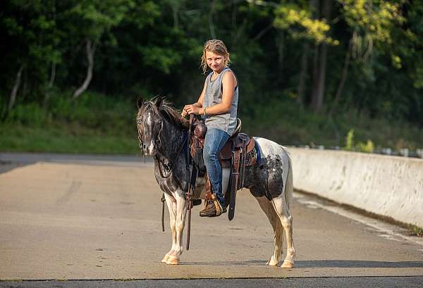trail-riding-pony