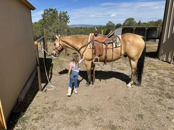 buckskin-star-left-hind-pastern-horse