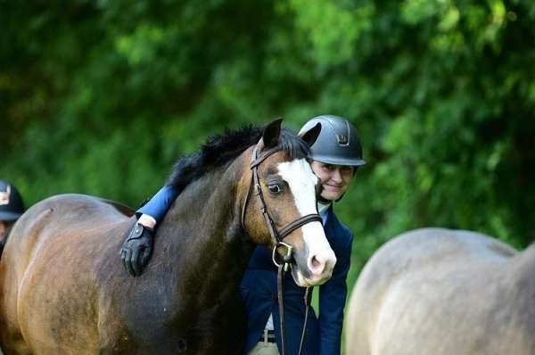 equitation-welsh-pony