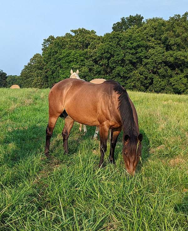 made-filly