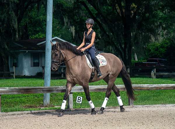 trail-safe-draft-donkey