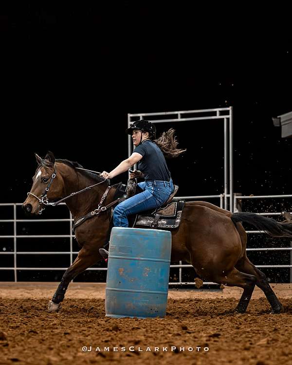 star-left-hind-sock-horse