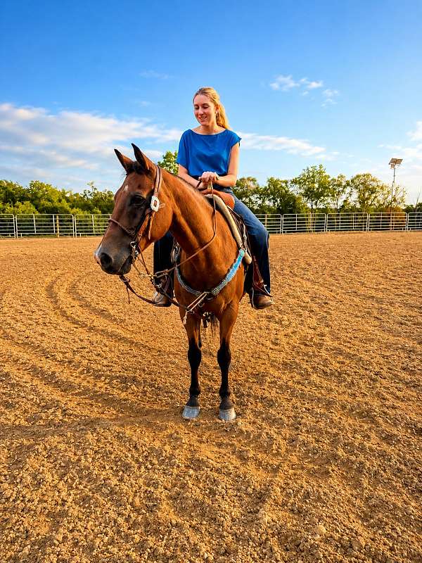 youth-quarter-horse