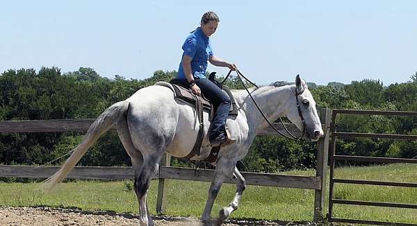 beginner-quarter-horse