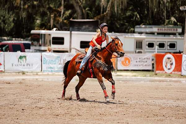 aqha-spotted-mare