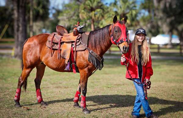 aqha-spotted-foal