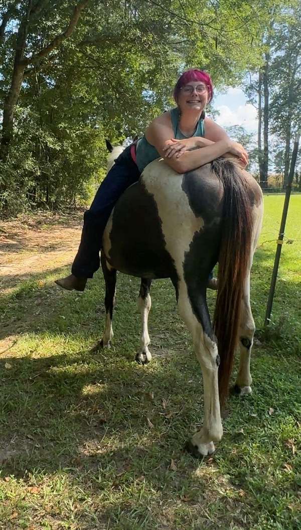 quarter-horse-for-sale