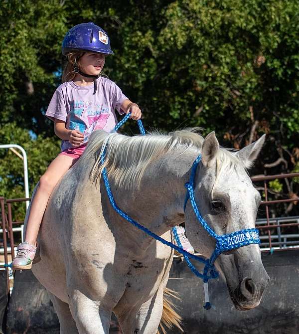 kid-safe-youth-quarter-horse