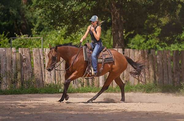 drill-team-quarter-pony