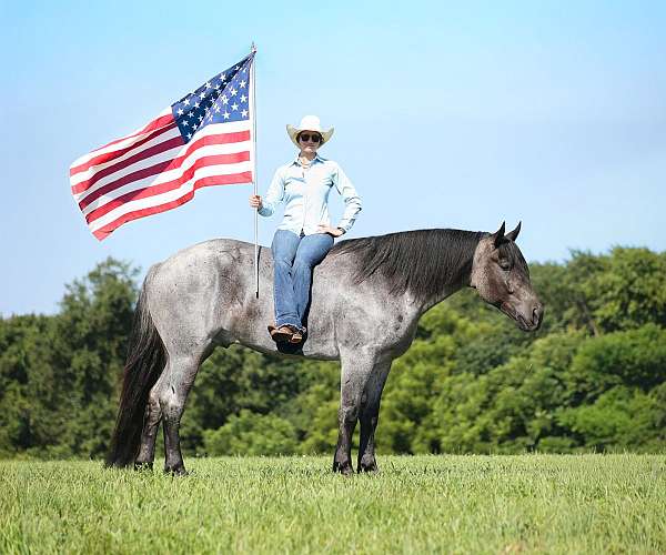 none-horse