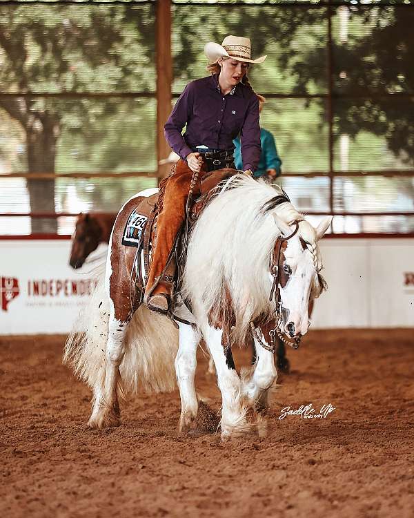 natural-horsemanship-training-gypsy-vanner-horse