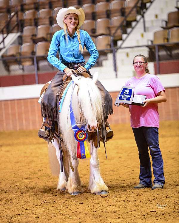 performance-gypsy-vanner-horse