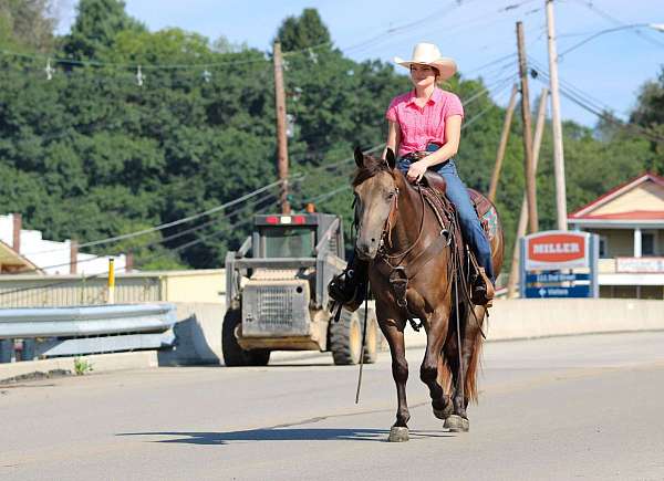 flashy-quarter-horse