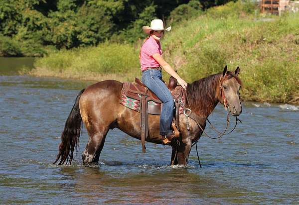 ranch-versatility-quarter-horse
