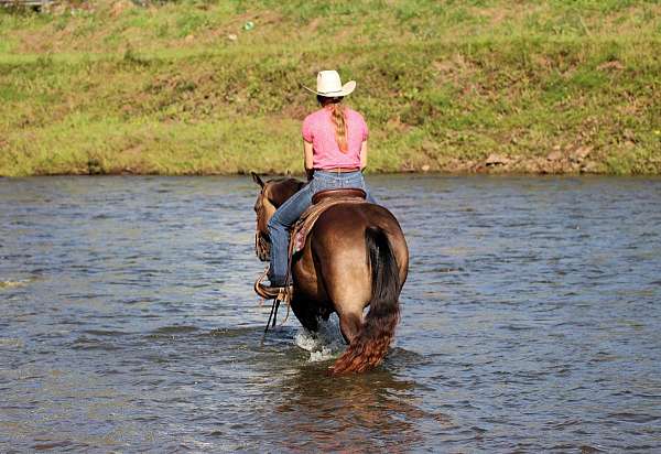 ranch-work-quarter-horse