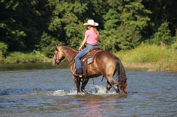 roping-quarter-horse