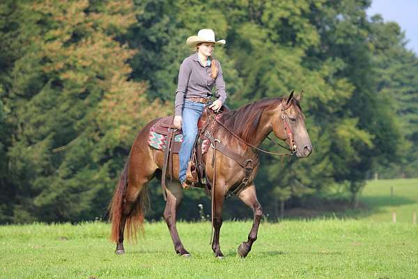 trail-riding-quarter-horse