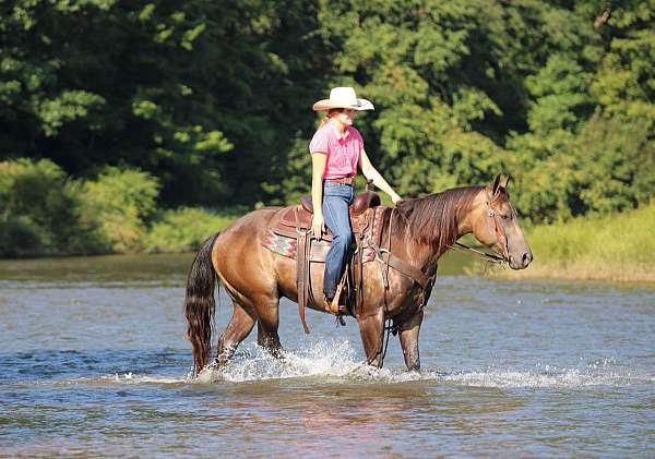 western-riding-quarter-horse