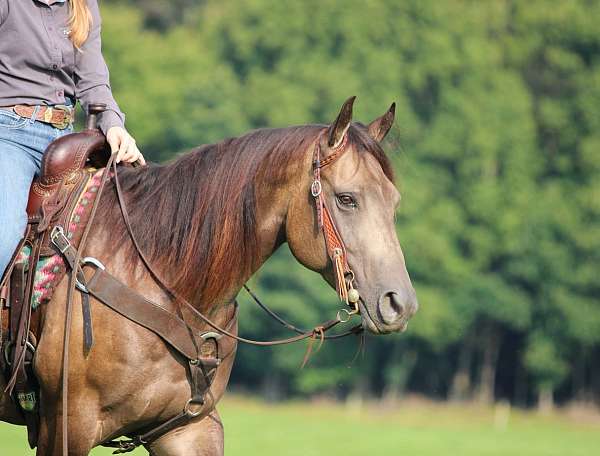 youth-quarter-horse