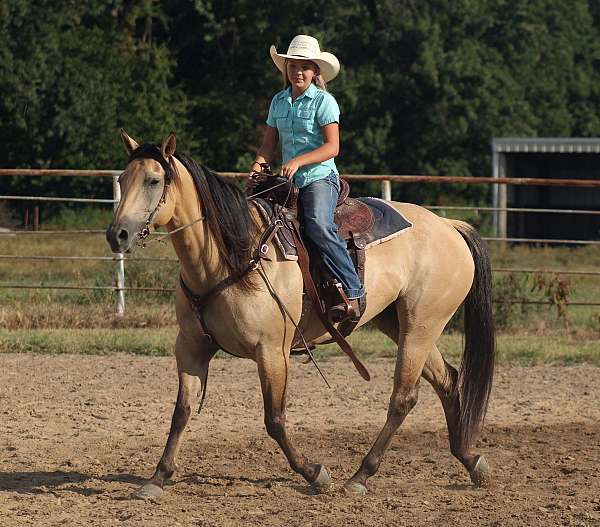 beginner-quarter-horse