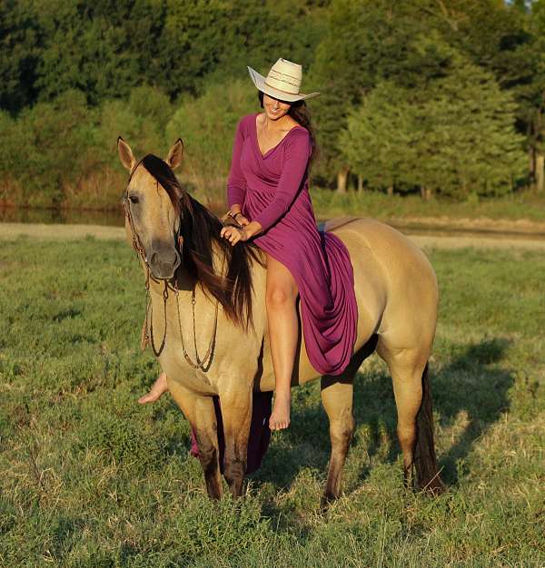 ranch-quarter-horse
