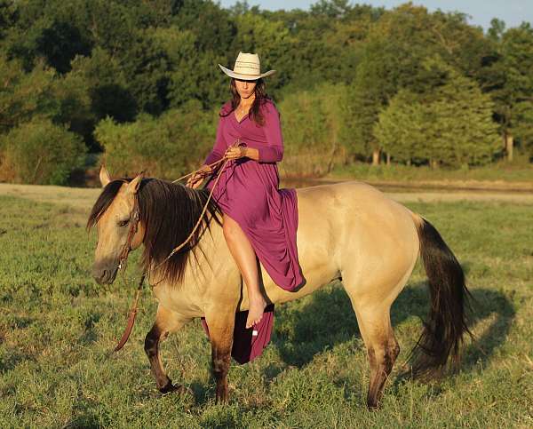 ranch-work-quarter-horse