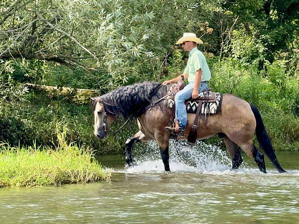 athletic-draft-horse