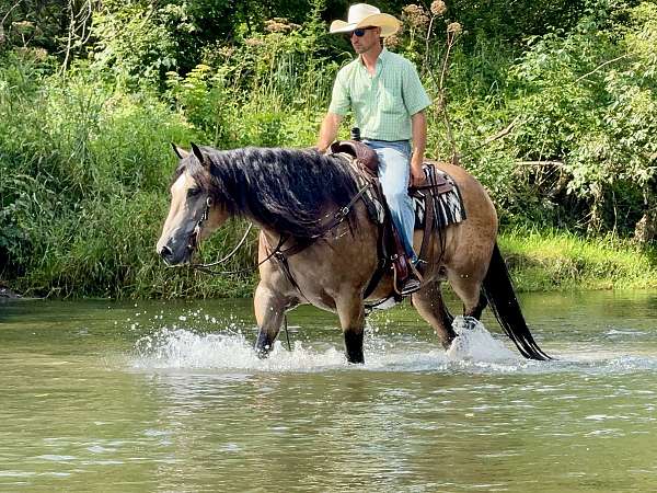 kid-safe-draft-horse
