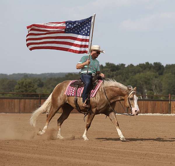 ranch-quarter-horse