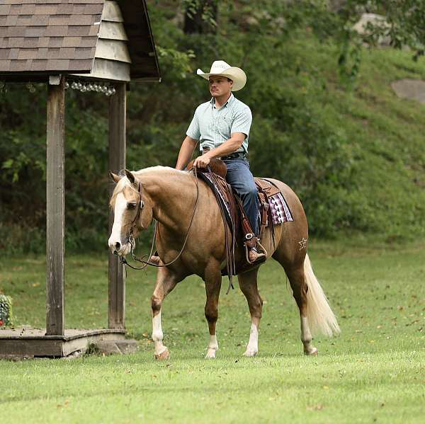 ranch-versatility-quarter-horse