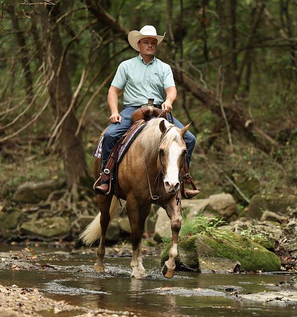 ranch-work-quarter-horse