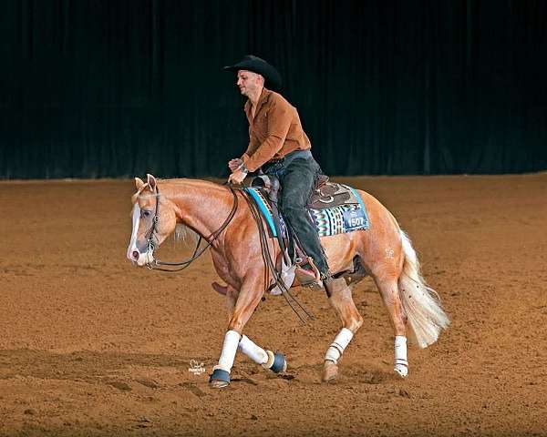 trail-riding-quarter-horse