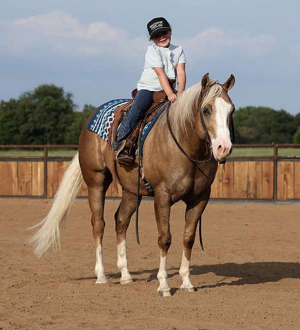 western-riding-quarter-horse