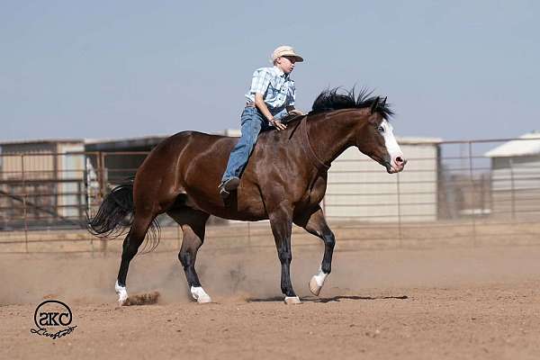 flashy-quarter-horse