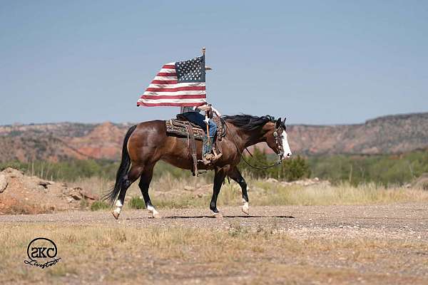 jumping-quarter-horse