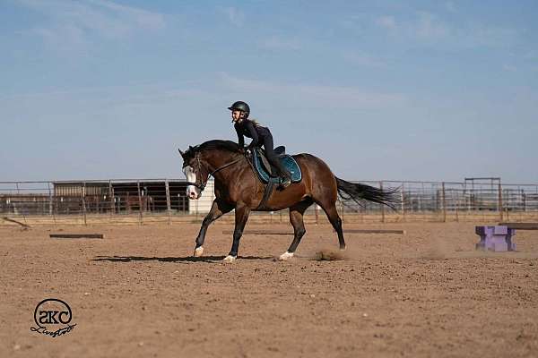 ranch-work-quarter-horse
