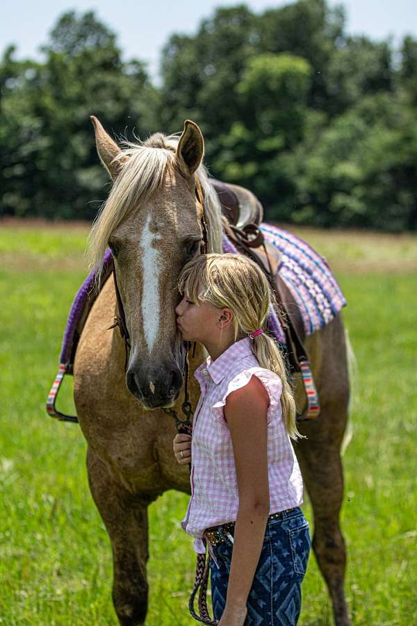 ranch-friesian-horse