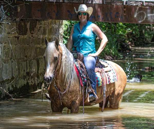 ranch-work-friesian-horse