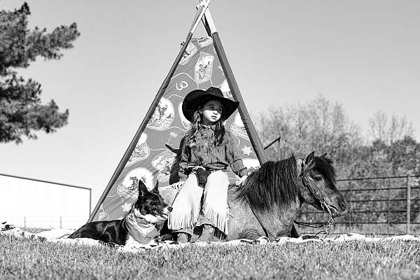 kid-safe-pony