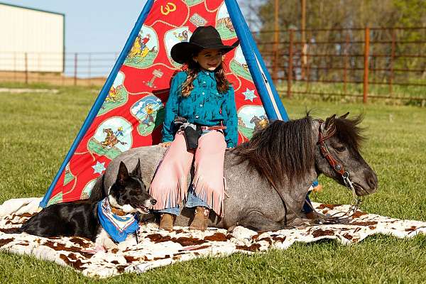 rodeo-pony