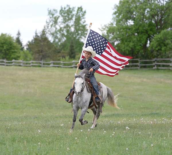 ranch-work-pony