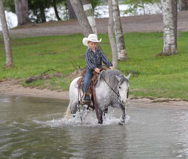 trail-pony