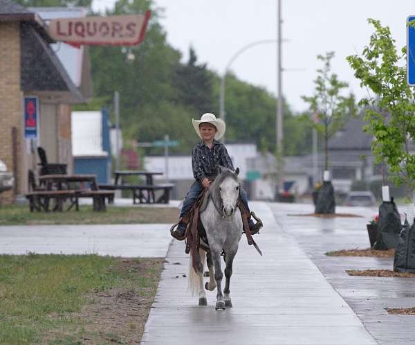 trail-riding-pony