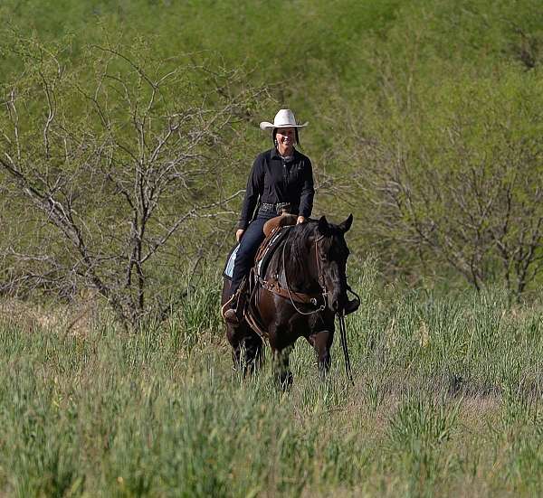 youth-quarter-horse