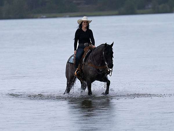 roping-quarter-horse