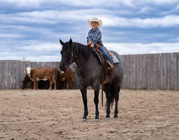 trail-riding-quarter-horse