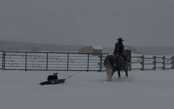 ranch-work-draft-horse