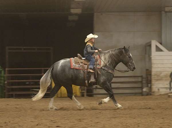trail-riding-draft-horse